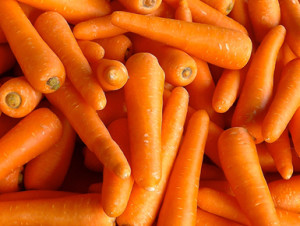 All about carrots
