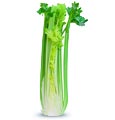 Celery on cutting board