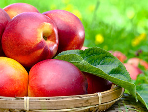 All About Nectarine