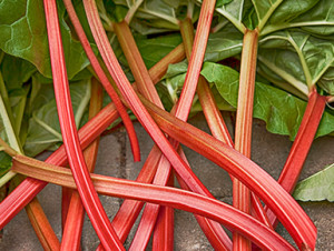 All about rhubarb!