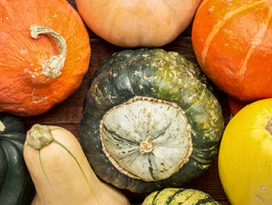 What’s your favourite squash?