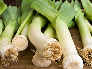 All about Leeks