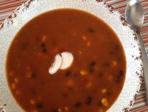 Salsa Pumpkin Soup - Laurie Barker Jackman