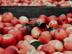5 façons différentes de manger des pommes
